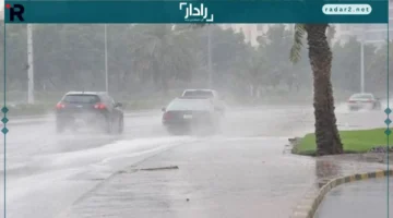 طقس شتوي.. أجواء أوروبية باردة تضرب البلاد لمدة 3 أيام مع تفاصيل الأرصاد الجديدة